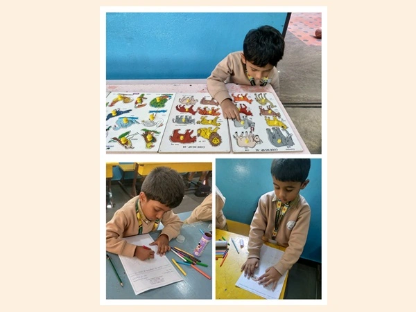 Traffic Awareness Program 